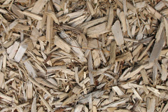 biomass boilers West Allotment